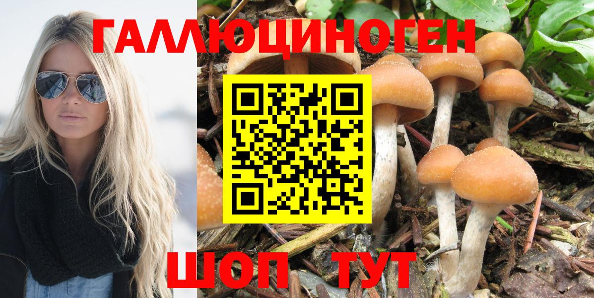 Лыткарино  хочу   Вход с VPN  Псилоцибиновые грибы ЛСД 